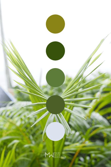 Green color palette inspired by nature. Photo taken while waiting in line at The Gazebo Restaurant in Napili Shores Resort on Maui Hawaii. #colorscheme #logodesign #interiordesign #brandinginspiration #madewithmichelle Palm Green Color Palette, Nature Colours, Plants Color Palette, Tropical Oasis Color Palette, Hawaii Colors Palette, Tropical Tones Colour Palettes, Green Color Palettes, Plant Color Palette, Jungle Color Palette Tropical