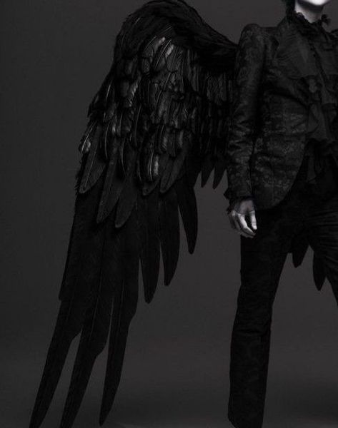 gabriel nox |ruthless boys of the zodiac by caroline peckham & susanne valenti| Black Angel Costume, Dark Angel Costume, Demon Costume, Demon Wings, Male Angel, Black Angel Wings, Fashion Make Up, Angel Man, Angel Costume