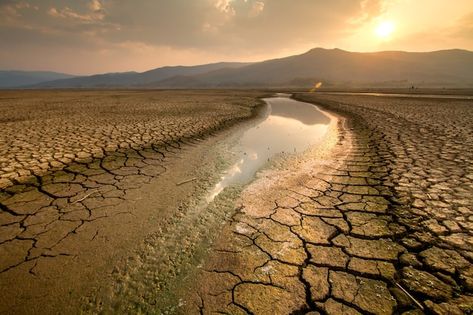 Photo climate change river drying on sum... | Premium Photo #Freepik #photo #drought #dry #climate #climate-change Dry River, The Better Man Project, Summer Water, Permaculture, Central Park, National Geographic, Nebraska, Mississippi, Trees To Plant