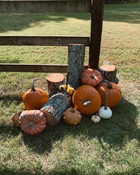 We love FALL WEDDINGS 🥰🍂✨ What a fun wedding weekend! #weddingseason #autumn #fall #brides #fallwedding #october #octoberweddings Fall Weddings, Love Fall, October Wedding, Wedding Weekend, Autumn Fall, Fun Wedding, Wedding Season, Fall Wedding, Falling In Love