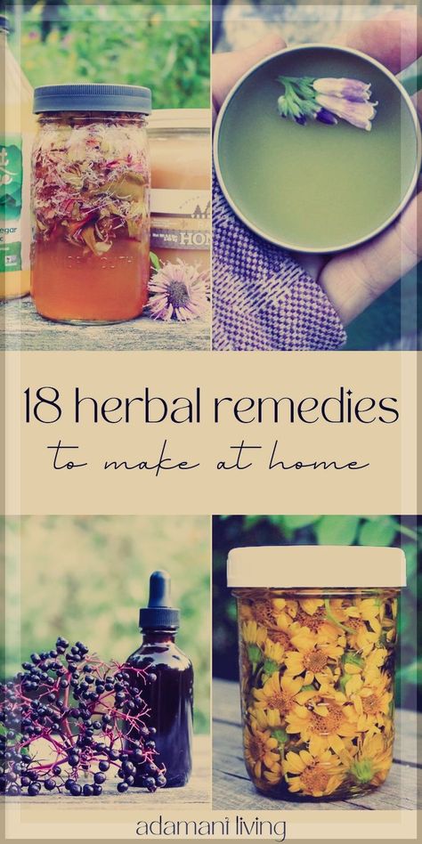 Herb Remedies, Medicinal Herbs Remedies, Medicine Recipes, Tinctures Recipes, Herbal Medicine Recipes, Herbal Remedies Recipes, Diy Herbal Remedies, Medicinal Herbs Garden, Salve Recipes