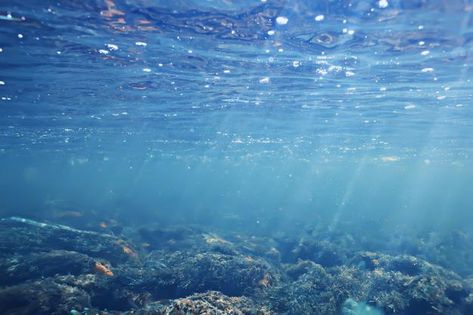 Water Aesthetic Laptop Wallpaper, Underwater Background Landscape, Ocean Laptop Background, Ocean Desktop Wallpaper Aesthetic, Water Aesthetic Wallpaper Laptop, Water Background Landscape, Water Wallpaper Laptop, Water Laptop Wallpaper, Ocean Background Landscape