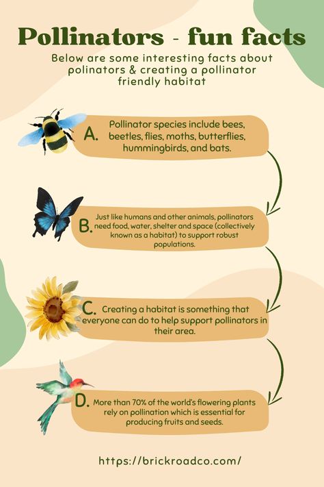 Fun Facts About Pollinators - Much of the worlds flowering plants depend on pollinators, and we can help them by creating pollinator habitats! Pollinator Lessons For Kids, School Pollinator Garden, Pollinators Activities, Pollinator Activities For Kids, Pollinator Activity, Pollinators Poster, School Greenhouse, Pollinator Garden Design, Sponge City