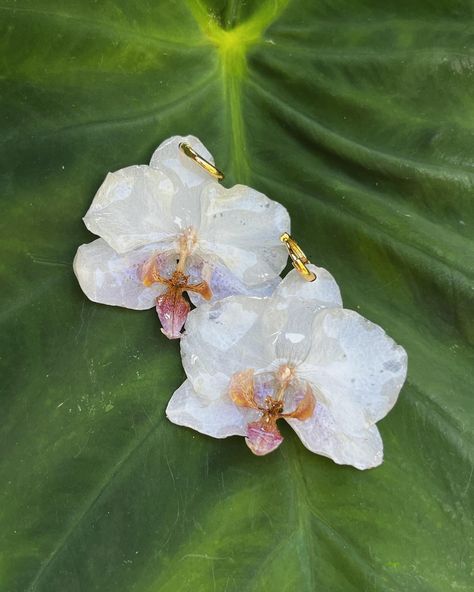 🤍 White Orchid Earrings are back in stock 🤍 Real Flower Jewellery, Call Me Pretty, Pandora Bracelet Designs, Orchid Earrings, Dainty Jewellery, 21 Birthday, Real Flower Jewelry, Pretty Gel Nails, The Beauty Of Life