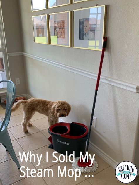 Why I Sold My Steam Mop ... - creatingmaryshome.com Steam Mop Hacks, Cedar Mop, Bissell Steam Cleaner, Best Steam Mop, Spin Mops, Steam Mop Cleaner, Shark Steam Mop, Cleaning Ceramic Tiles, Smelly Dog