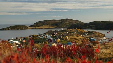 Newfoundland Travel, Itinerary Planner, Fall Colours, Hiking Destinations, Newfoundland And Labrador, Place To Visit, Cultural Experience, Travel Packages, Tour Operator