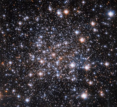 Hubble Investigates an Enigmatic Star Cluster | NASA Hubble Photos, Oort Cloud, Nasa Pictures, Globular Cluster, Nasa Hubble, Star Cluster, Poster Photo, Hubble Space, Space Pictures