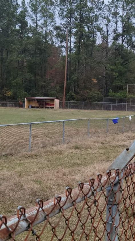 Horses on the baseball field where they filmed the black phone Black Phone Movie Aesthetic, Black Phone Aesthetic Movie, The Black Phone Aesthetic Movie, The Black Phone Aesthetic, The Black Phone Movie, Lana Core, The Black Phone, 2 Aesthetic, Gwen And Blake