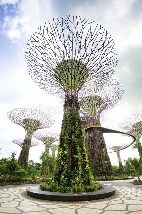 Supertrees Singapore, Singapore Culture, Garden By The Bay Singapore, Planner Illustration, Sunflower Chocolate, Garden Backdrop, Gardens By The Bay Singapore, Singapore Architecture, Singapore Garden