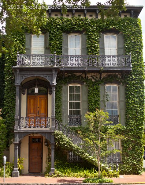 Old home in downtown Savannah with long windows & ivy <3. Downtown Savannah, Gorgeous Houses, Historic Houses, Long Windows, Old Home, Casa Exterior, Savannah Ga, House Goals, Beautiful Buildings