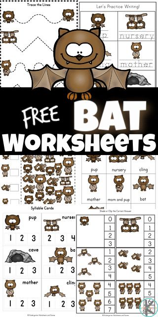 Bat Learning Activities Preschool, Bats Prek Activities, Bat Literacy Activities Preschool, Bats And Spiders Kindergarten, Free Bat Printables Preschool, Bat Facts Preschool, Kindergarten Nocturnal Animals, Life Cycle Of A Bat, Bat Math Activities Preschool