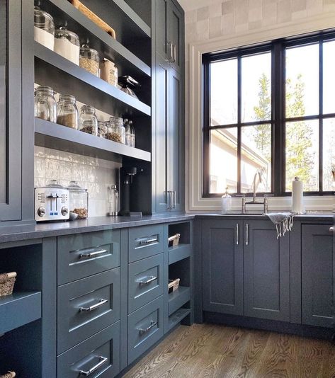 Pantry With Sink, Sink And Dishwasher, Butlers Pantry, Kitchen Pantry Design, The Door Is Open, Butler's Pantry, Pantry Design, Cabinet Styles, Kitchen Layout