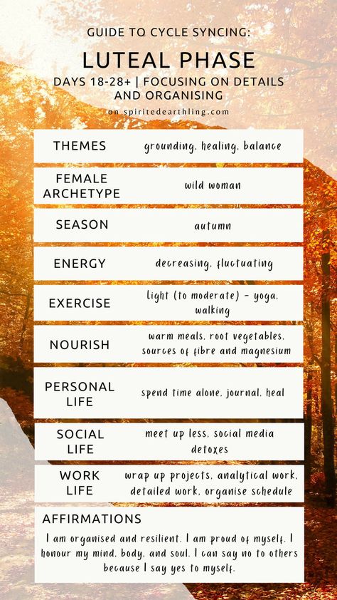 a guide to cycle syncing highlight the luteal phase Sync With Cycle, Cycle Eating, Feminine Archetypes, Hormone Nutrition, Cycling Food, Menstruation Cycle, Luteal Phase, Womb Healing, Cycle Syncing