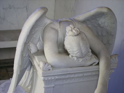 What my guardian angel must look like at times... - Imgur . . . not often for me but enough! My Guardian Angel, Guardian Angels, E Card, Guardian Angel, An Angel, I Smile, Bones Funny, The Words, True Stories