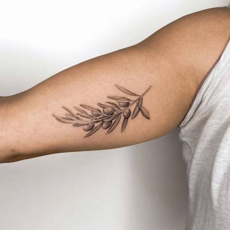 Olive Tree Tattoo Men, Olive Leaves Tattoo, Branch Tattoo Arm Wrap, Branch Tattoo Arm, Olive Branch Tattoo Arm Wrap, Tattoo Arm Wrap, Tattoo Around Arm, Olive Tree Tattoos, Arm Wrap Tattoo