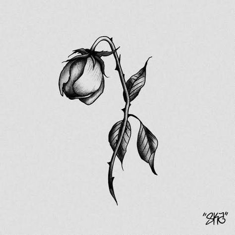 Wilted Rose Tattoo, Dead Rose Tattoo, Rose Drawing Simple, Dead Rose, Flor Tattoo, Wilted Rose, Wilted Flowers, Line Tattoo Ideas, Rose Sketch