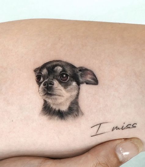 Dogs Face Tattoo, Pet Face Tattoo, Chiwawa Tattoo, Min Pin Tattoo, Dog Face Tattoo, Chihuahua Tattoo, Pet Memorial Tattoo, Dog Portrait Tattoo, Pet Tattoos