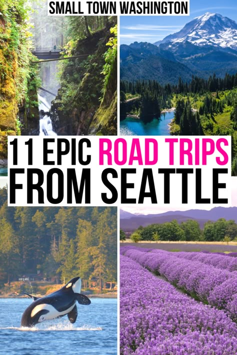 Looking for the best road trips from Seattle? Here are the best short road trips from Seattle and best weekend getaways from Seattle. Seattle road trips | Washington road trips | Pacific Northwest road trips from Seattle | Seattle day trips | Seattle to Portland | Seattle Pacific Coast Highway | Seattle weekend trips | Romantic getaways Seattle | Weekend getaways near Seattle | Washington road trip ideas | Washington weekend getaways | Washington State getaways | places to go from Seattle Week In Seattle, Seattle Oregon Road Trip, Must See Seattle, Seattle National Park Road Trip, Seattle Off The Beaten Path, Pnw Weekend Getaways, Washington State Vacation Ideas, Seattle Ferry Trips, Portland To Vancouver Road Trip