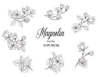 Lunar Flowers, Magnolia Tattoo, Magnolia Branch, Modern Flowers, Flower Line Drawings, Witch Tattoo, Magnolia Flowers, Hand Drawn Floral, Vector Line