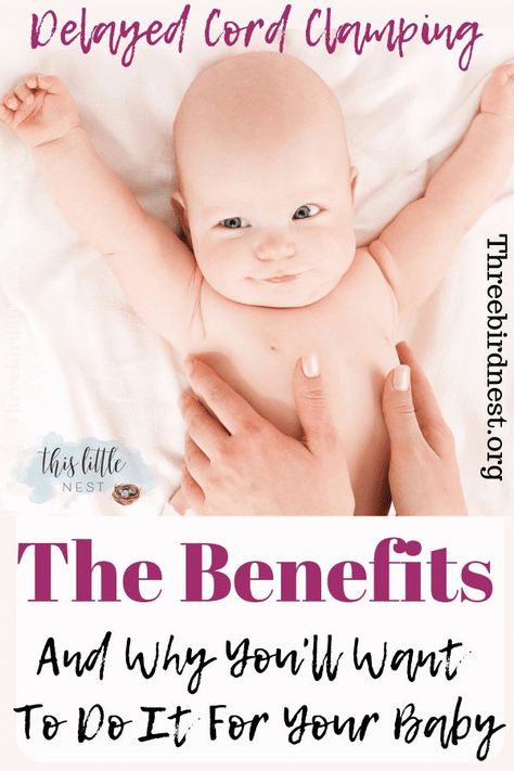 The Amazing Benefits Of Delayed Cord Clamping - This Little Nest Delayed Cord Clamping, Birth Education, Baby Freebies, Newborn Baby Tips, Pregnancy Labor, Childbirth Education, Pregnancy Information, Birth Labor, Nursing Tips