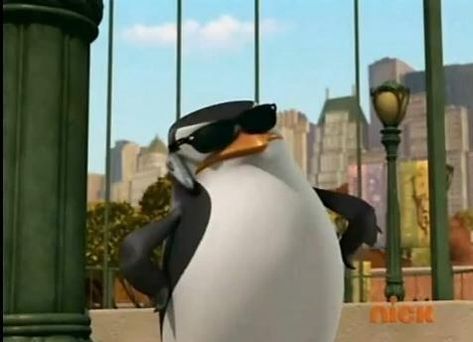 Penguins Of Madagascar Profile Picture, Penguins In Madagascar, Skipper Penguins Of Madagascar, Funny Contact Pictures, Madagascar Penguins Funny, Penguins Of Madagascar Pfp, Penguin From Madagascar, Penguins Of Madagascar Funny, Skipper Madagascar