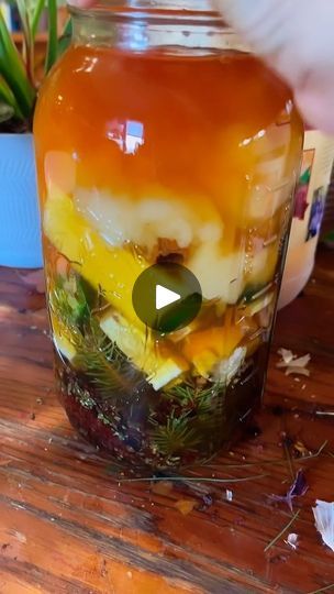 What Is Fire Cider, Fire Cider Tincture, Simple Fire Cider Recipe, Traditional Fire Cider Recipe, Fermented Fire Cider, Pineapple Core, Fire Cider, Cider, Pineapple