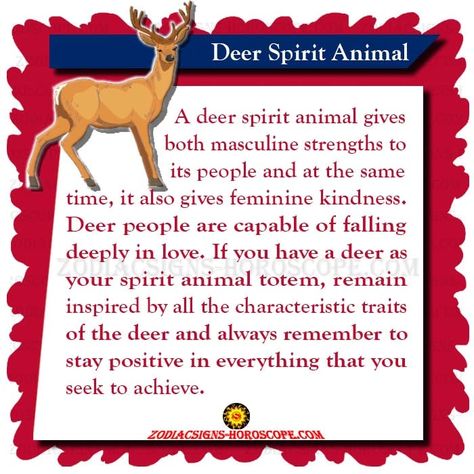 Deer Spirit Animal: Meaning, Symbolism, Dream of the Deer Totem Deer Totem, Deer Spirit Animal Meaning, Deer Spirit Animal, Deer Symbolism, Deer Meaning Spirit Animal, Stag Spirit Animal, Deer Animal Spirit, Deer Spirit Animal Tattoo, Otter Spirit Animal