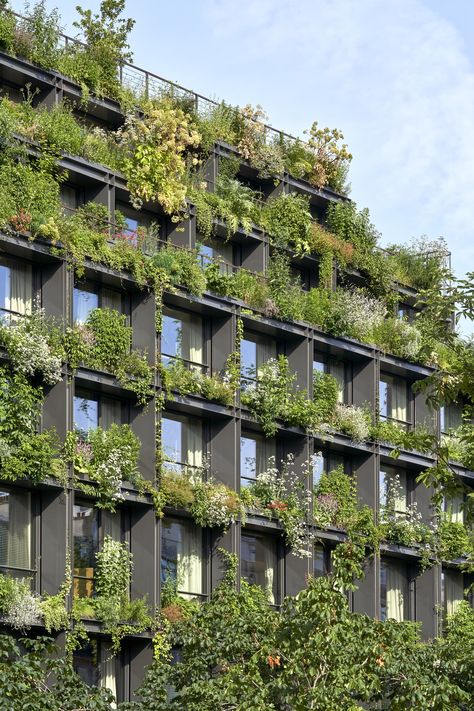 Pretty Fence, Brazilian Architecture, Biophilic Architecture, Wall Green, City Nature, Green Facade, Vertical Gardens, Architecture Inspiration, Green Architecture