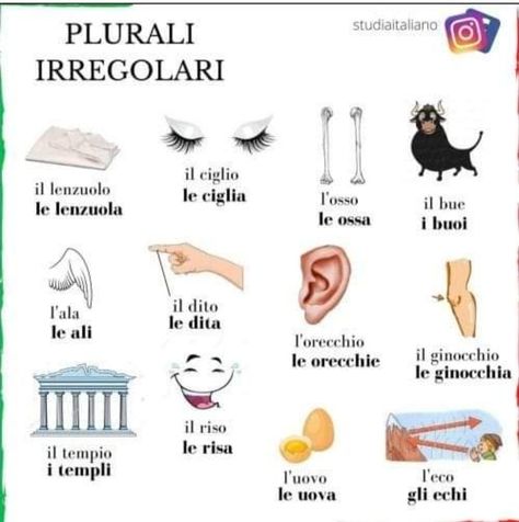 Albanian Quote, Italian Grammar, Italian Vocabulary, Learn Another Language, Italian Lessons, Italian Language Learning, Italian Phrases, Italian Words, Learning Italian