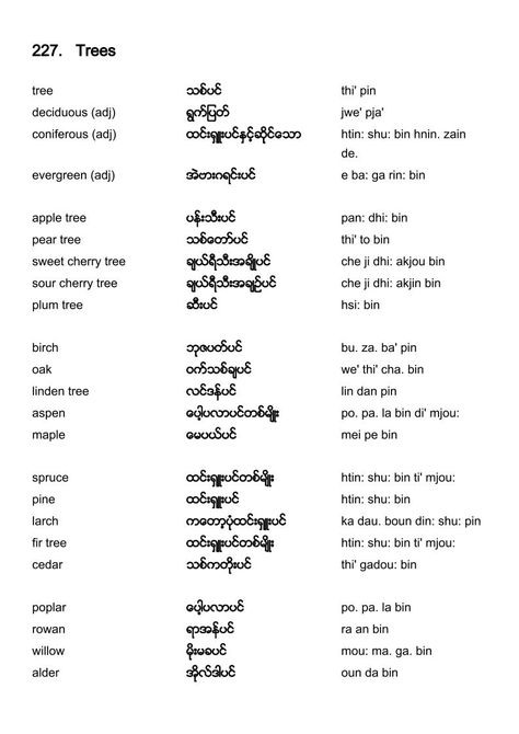 English-Burmese vocabulary - Trees Burmese Tattoo, Burmese Poem, Burmese Quotes, Vocabulary Meaning, Burmese Language, Literature Notes, English Speaking Book, English Literature Notes, Learn Thai Language