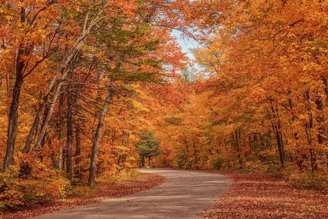 Algonquin Provincial Park: 3 Essential Hikes (Bat Lake - DONE :) ) Algonquin Provincial Park Fall, Ontario Hiking, Canada Places, Canadian Summer, Canada Camping, Algonquin Provincial Park, Canadian Wilderness, Ontario Parks, Ontario Travel