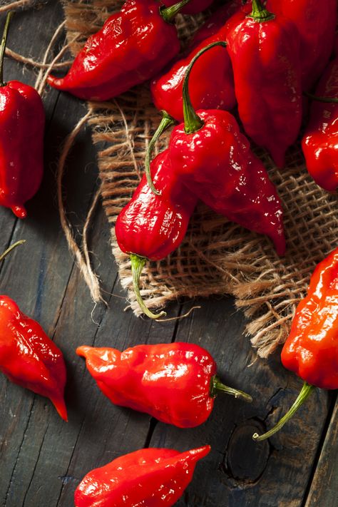 Bhut Jolokia, Quinoa Burgers, Hot Pepper Seeds, Vegetarian Quinoa, Ghost Pepper, Strawberry Rhubarb Pie, Ghost Peppers, Hot Peppers, Hot Spicy