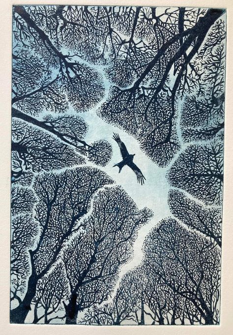 Janis Goodman, etching Janis Goodman, Linocut Landscape, Tree Illustration Art, Woodcut Design, Line Etching, Etching Illustration, Etching Printmaking, Etching Art, Generative Design