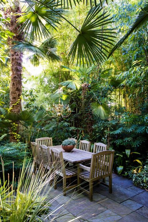 Paradise Garden Ideas, Backyard Tropical Oasis Ideas, Tropical Farm, Tropical Hideaway, Tropical Backyard Landscaping, Tropical Landscape Design, Tropical Garden Design, Jungle Gardens, Tropical Backyard