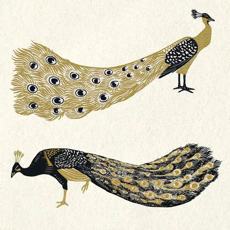 Vintage gold black peacock vector linocut illustration collection | free image by rawpixel.com / busbus Peacock Linocut, Linocut Illustration, Peacock Illustration, Peacock Vector, Feather Peacock, Feather Logo, Peacock Images, Potato Print, Watercolor Paintings Of Animals