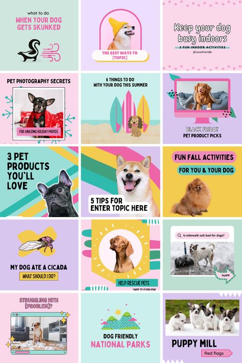 Dog Posts Instagram, Dog Post Instagram, Dog Instagram Post Ideas, Dog Business Ideas, Carousel Template, Pet Instagram, Dog Marketing, Dog Template, Pet Branding