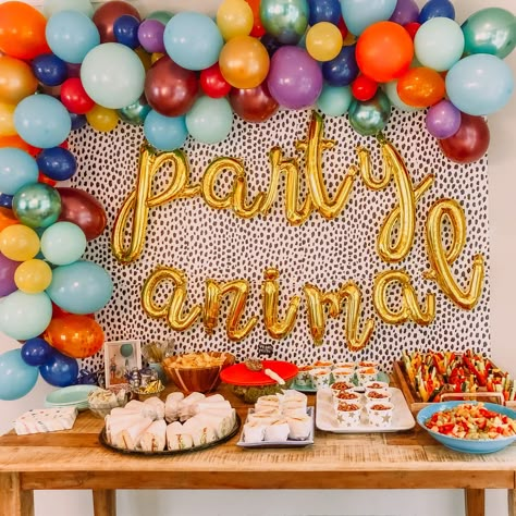 Confetti 1st Birthday Theme, Kalahari Birthday Party, Party Animal Birthday Theme Backdrop, Colorful 3rd Birthday Party, Colorful Party Animal Birthday Theme, Part Animal Birthday, Party Animal Pool Party, Infant Birthday Party Ideas, Sibling Party Themes