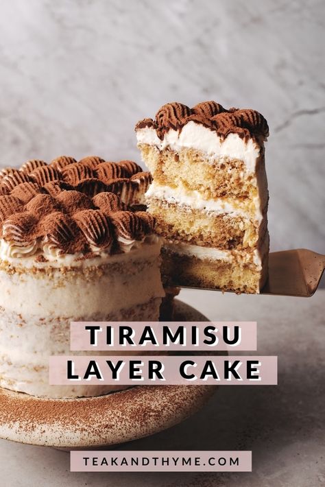 Tiramisu Sponge Cake Recipe, Cake Recipes Not Too Sweet, Different Cake Flavours, Sponge Cake Tiramisu, Tiramisu Birthday Cake Recipe, Sponge Layer Cake, Tiramisu Flavored Cake, Sponge Cake Flavour Ideas, Two Layer Cake Ideas