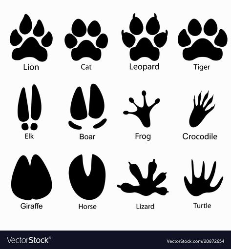 Paw Print Drawing, Tiger Paw Print, Paw Drawing, Animal Footprints, Jungle Theme Birthday, Tiger Paw, Family Tattoo, Lion Paw, Animal Tracks