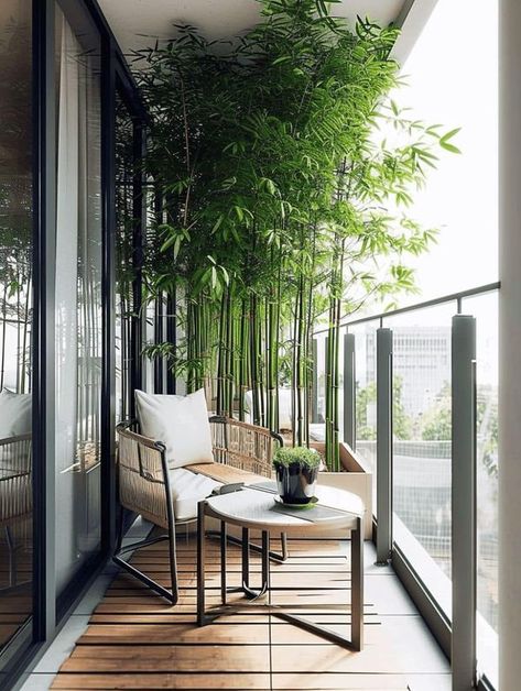 Bamboo On Balcony, Tall Balcony Plants, Bamboo Balcony Ideas, Balcony Railings Ideas, Tree On Balcony, Plant Decor Bathroom, Bamboo Balcony, Bathroom Plant Decor, Zen Apartment Decor