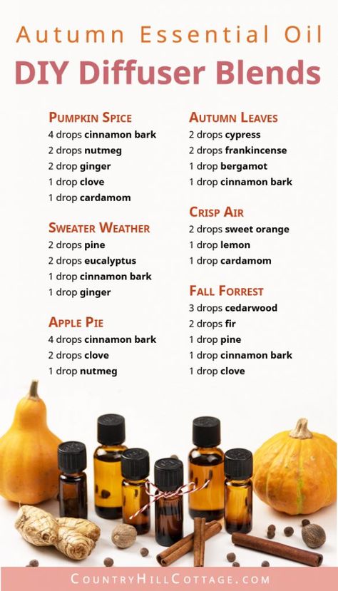 Learn how to make your home smell like autumn with 6 seasonal essential oil blends for fall! Autumn essential oils provide cozy fall fragrances & calming natural scents to enjoy all season long. Fall essential oil diffuser blend recipes are easy and will help you relax. The DIY essential oil blends are great air freshener and good for aromatherapy, home fragrance, relaxation, focus, energy & purification. #diffuserblends #essentialoils #fall #autumn #aromatherapy #diy | countryhillcottag Fragrance Oil Recipes, Diy Diffuser Blends, Essential Oil Diy, Cosy Fall, Fall Essential Oils, Fall Diffuser Blends, Perfume Versace, Fragrance Oil Blends, Essential Oil Diffuser Blends Recipes