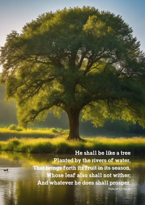 Free Fathers’ Day Bible Verses – Psalm 1:3 Posters - Printables and Inspirations Psalm 1 1-3, Psalm 1:1, Tree Bible Verse, Psalm Verses, Fathers Day Bible Verse, Psalm 1 3, Free Bible Printables, Psalms Quotes, God Centered