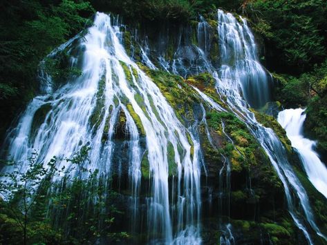 Panther Creek Falls. In Washington state #Sponsored , #affiliate, #affiliate, #Creek, #Washington, #Falls, #Panther Student Portfolio, Student Portfolios, Portfolio Template, Washington State, Panther, Oregon, Washington, Stock Images, Portfolio