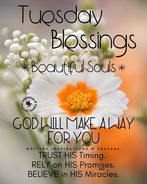 Good Morning Happy Tuesday God Bless You, Blessed Tuesday Good Morning, Tuesday Blessings Inspiration, Happy Blessed Tuesday, Good Morning Happy Tuesday Images, Good Morning Tuesday Blessings, Have A Blessed Day Inspiration, Happy Tuesday Images, Tuesday Quotes Good Morning