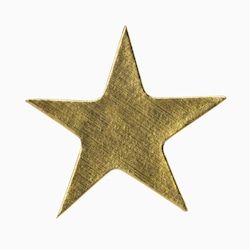 gold star sticker includes clipping path Client Retention, Gold Star Stickers, Fitness Business, Sticker Wall, Business Inspiration, Star Stickers, Gold Star, Gold Stars, Wall Mural