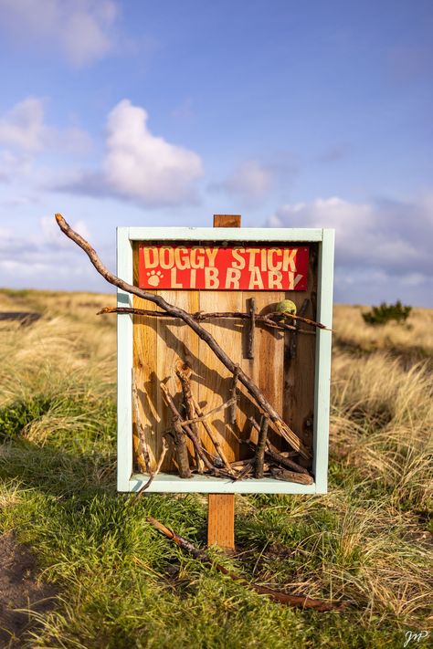 Dog Library Take A Stick Leave A Stick, Stick Library For Dogs, Dog Library, Elephant Charm Bracelet, Doggy Daycare, Lending Library, Dog Playground, Dog Kennels, Senior Project