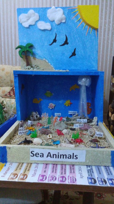 Ocean Diorama, Diorama Kids, Ecosystems Projects, Habitats Projects, Ocean Theme Preschool, Ocean Projects, School Kids Crafts, Diy Kids Games, Drawing Lessons For Kids