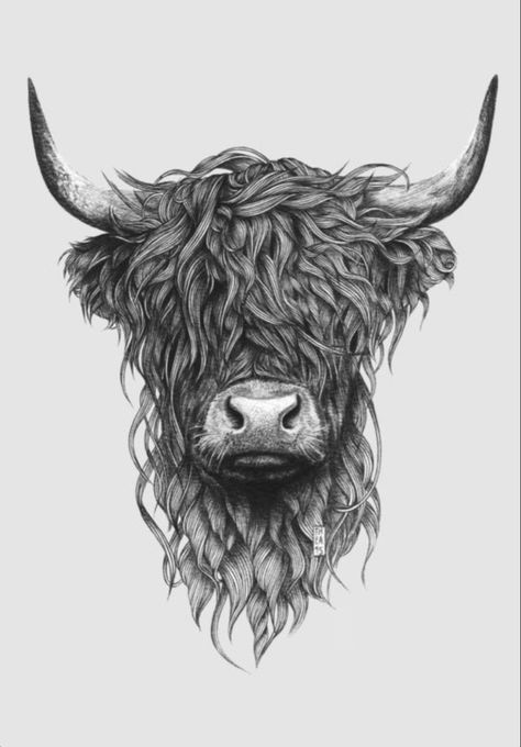 Highland Cow Tattoo, Cow Wall Decor, Cow Tattoo, Cow Art Print, Highland Cow Art, Bull Tattoos, Western Tattoos, Highland Cattle, Head Tattoos