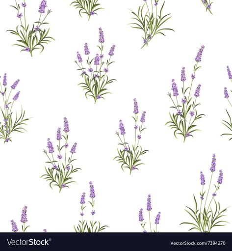 Seamless Pattern Vector, Pattern Vector, Lavender Flowers, A White Background, Seamless Pattern, Png Images, Seamless Patterns, Adobe Illustrator, White Background