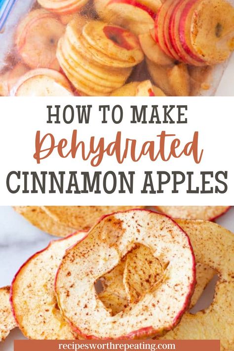 Dehydrated Cinnamon Apple Chips, Apple Leather Recipe Dehydrator, Dehydrator Apples With Cinnamon, Dry Apples In Dehydrator, How To Make Apple Chips In Dehydrator, Freeze Dried Apples How To Make, Cinnamon Apple Chips Dehydrator, Dried Apple Recipes Dehydrator, Dehydrator Recipes Potato